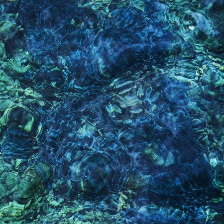 Indietheka-ichiko-aoba-luminescent_creatures