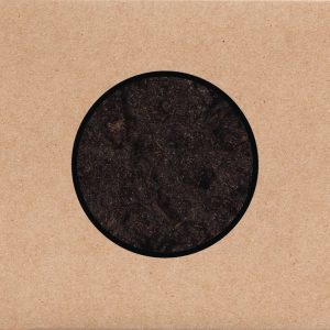 Swans – Birthing