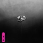 Indietheka-Little-Simz-Lotus-album