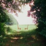Portada de 'Singin’ To An Empty Chair', álbum de la banda de indie rock Ratboys (2026)