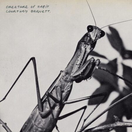 Portada de 'Creature of Habit', cuarto álbum de Courtney Barnett en Mom + Pop (2026)