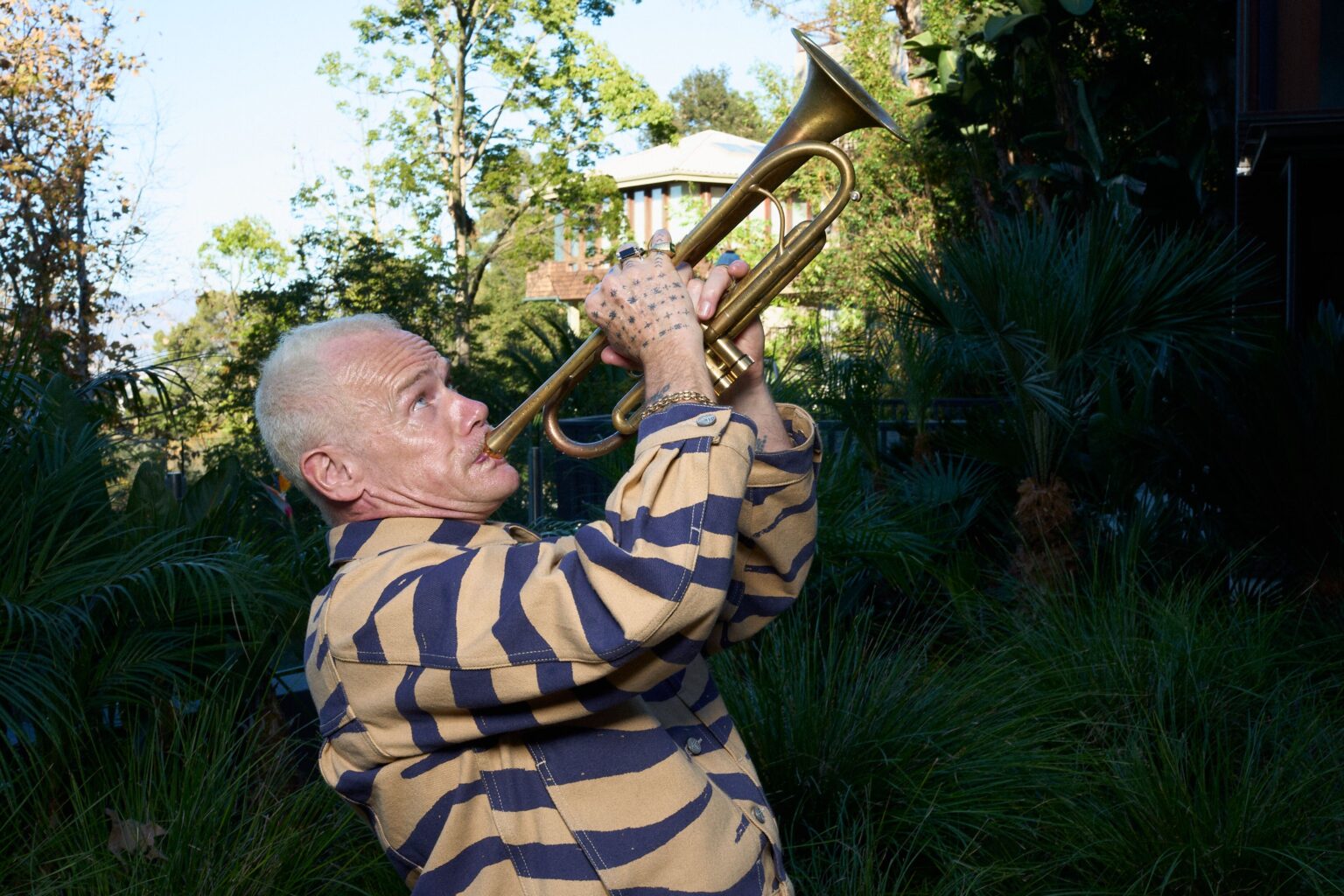 Flea regresa al jazz con su álbum debut ‘Honora’ Flea regresa al jazz con su álbum debut ‘Honora’