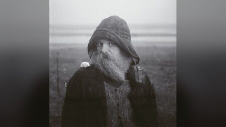 mary in the junkyard – Role Model Hermit Portada de 'Role Model Hermit' de mary in the junkyard en AMF (2026)