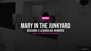 mary in the junkyard — perfil