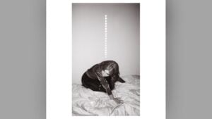 Portada de 'Materia' de Julia Holter en Domino (2026)