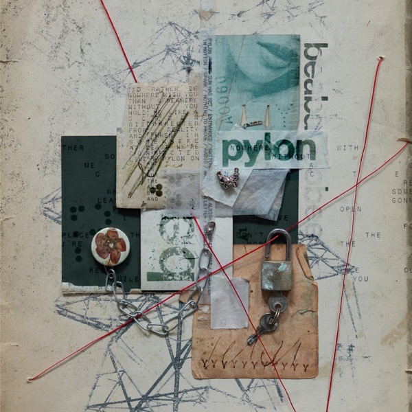 Portada de Pylon, de beabadoobee