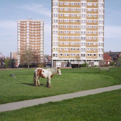 Portada de It Goes On, de Westside Cowboy