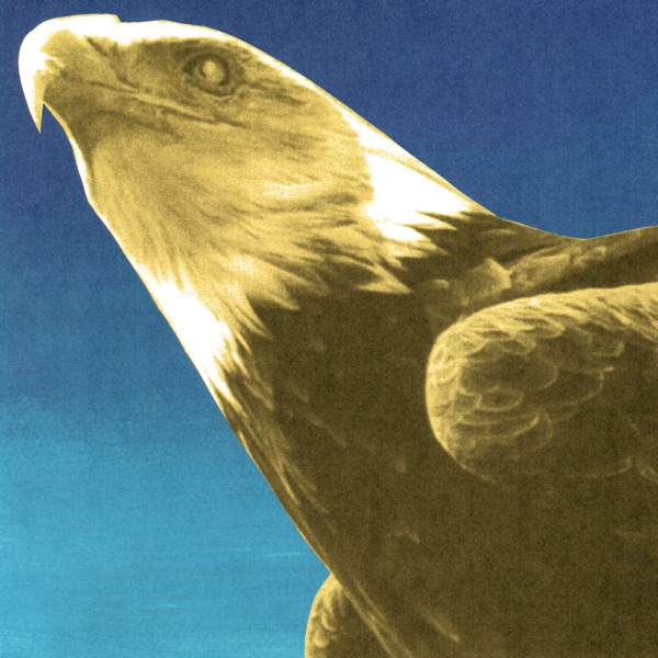 Portada de Hotel Usona, de Protomartyr