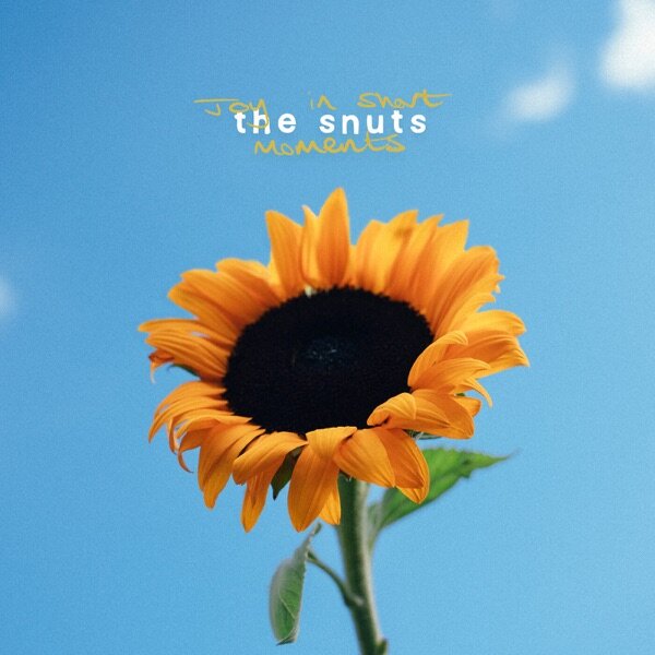 Joy In Short Moments — The Snuts